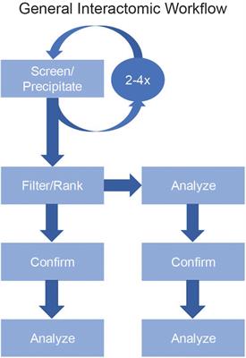 Experimental Analysis of Viral–Host Interactions